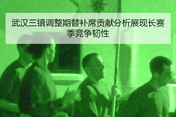 wu-han-san-zhen-tiao-zheng-qi-ti-bu-xi-gong-xian-fen-xi-zhan-xian-zhang-sai-ji-jing-zheng-ren-xing-2-798.jpg